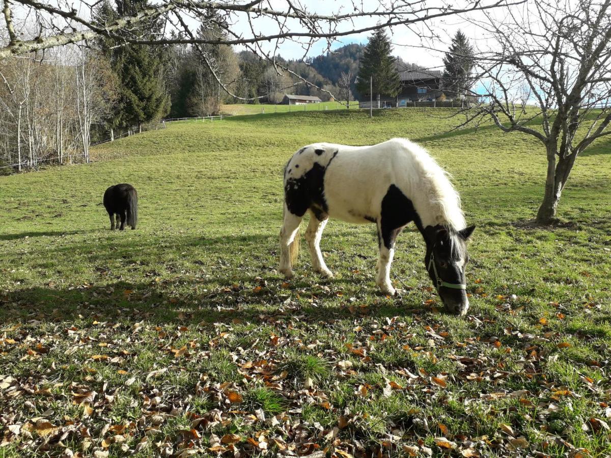 Haus Hagspiel Villa Hittisau Luaran gambar