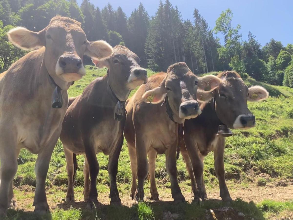 Haus Hagspiel Villa Hittisau Luaran gambar