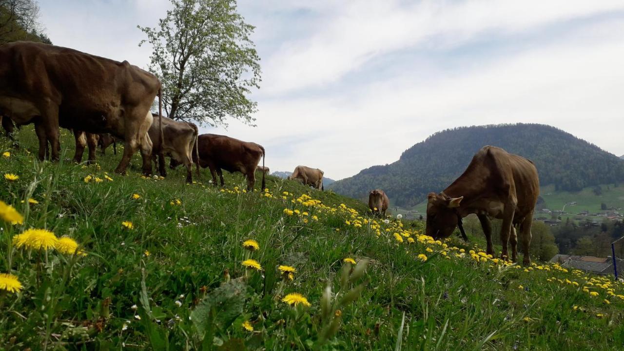 Haus Hagspiel Villa Hittisau Luaran gambar